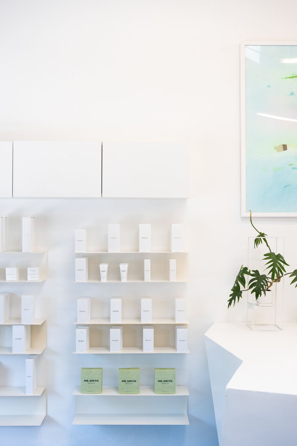 White product shelves beside a framed pastel painting and a plant